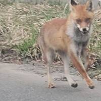 宮城から北海道　南下の旅７泊８日　後編　下北から花巻