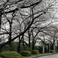 東京、浅草橋・蔵前街歩き。