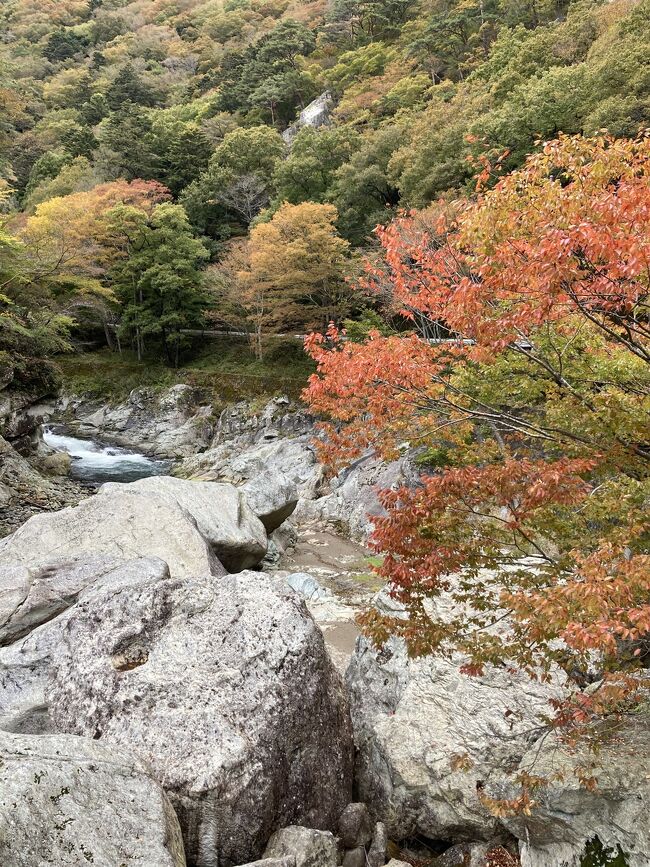 秋の気配漂う那須。早めの紅葉狩りに行ってみました。