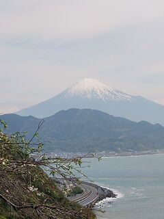 ㉕東海道五十三次　京から江戸へ（府中宿→江尻宿→興津宿)