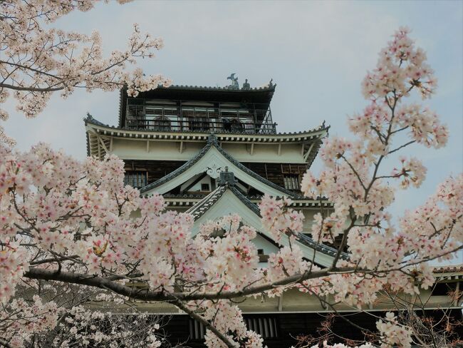 2023年春 安芸の宮島を旅する＜広島市内編＞（広島城、平和記念公園、おりづるタワー）