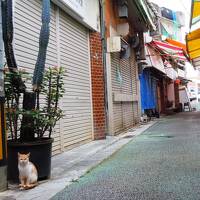 琉球・沖縄　ＪＡＬスマイルキャンペーンで飛ぶ ノスタルジックなコザ銀天街をぶらぶら歩き旅ー４