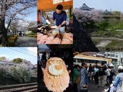 大和郡山お城祭と大阪桜ノ宮【関西桜紀行】　