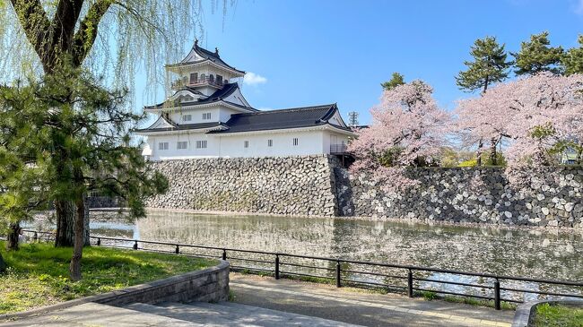 桜が咲いて春爛漫の季節になりました。旅行社から送られてくるパンフレットには日本各地の桜の名所を訪ねる旅行が満載。まだ行っていない場所も多く、めくっていると、富山の&quot;あさひ舟川『春の四重奏』&quot;に目がとまりました。以前にも見たことがありましたが、残雪の朝日岳を背景に、桜並木、チューリップ、菜の花の四重奏の風景にすっかり心を掴まれたのでした。<br /><br />夫が桜を観に車でどこかへ行こうかと誘ってくれ、だったら富山の&quot;あさひ舟川&quot;と即座に返答^ ^ せっかく富山まで行くなら3泊くらいしようということになり、3泊4日の北陸へのドライブ旅をすることに！<br /><br />■4/3  大阪ー富山（約5時間）富山市内観光［ANAクラウンプラザ富山］泊<br />□4/4  あさひ舟川訪問  富山市内観光　［富山エクセルホテル東急］泊<br />□4/5  新湊 橋めぐり　雨晴海岸　氷見の桜めぐり　［くつろぎの宿 うみあかり］泊<br />□4/6  氷見ー砺波 チューリップ四季彩館　帰阪（約4時間）<br /><br />まずは初日は車で富山まで行き、呉羽山展望台で富山市街の遠景を見たあと、市中心部に移動しホテルにチェックイン。その後、松川べりの桜を楽しむ船のミニクルーズに乗船したり、夕方、富岩環水公園までぶらぶら散策に出かけたりして過ごしました。