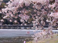 さくら舞い散る古都京都②天龍寺・渡月橋・哲学の道方面
