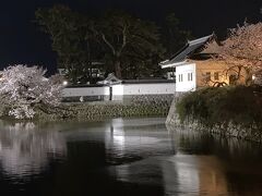 小田原城の桜とおでんサミット