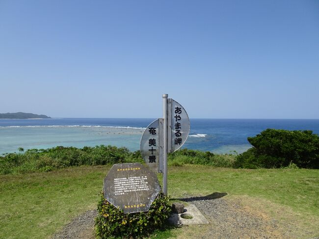 ４月恒例の我が家の旅行、今回は奄美大島です。<br />沖縄に比べると圧倒的に観光客が少ないせいか、ビーチには全くといっていいほど人がおらず、ほぼ貸切状態でストレスフリーで過ごせました。<br />逆にこれから人気が出てきて観光客が押し寄せてくるとインフラ面が追いついていかず、過ごしにくくなりそうです。<br /><br />肝心のホテル選びですが、伝泊は即決。もう1つはネィティブシー奄美も惹かれましたが、より洗練されてそうなMiruAmamiにしました。<br /><br />事前の天気予報は前半晴れ、後半雨の予報だったので、なるべく青い海と空を欲する景観地を早めに回ろうと、1日目は到着後に積極的に行動しました。<br /><br />＜旅行代金（宿泊代・飛行機代）＞<br />・MiruAmami オーシャンヴィラ<br />　2泊朝食付　66,845円（ホテルズドットコムの4割引）<br />・伝泊 The Beachfront MIJORA　デラックスヴィラ・ツインベッド<br />　2泊朝食付　117,200円<br />・往路　成田ー奄美大島（Peach）　22,560円<br />・復路　奄美大島ー羽田（JAL) 　42,100円
