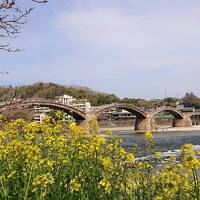 ツアーで行ってきた！萩・津和野・下関・角島・元乃隅神社を巡る3日間 ①錦帯橋＆下関