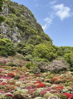 ⑧マダムの暮らすように旅する福岡＋佐賀４月編　4日目の３　御船山楽園