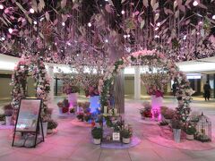 Flower Forest Spring in Umeda  2023