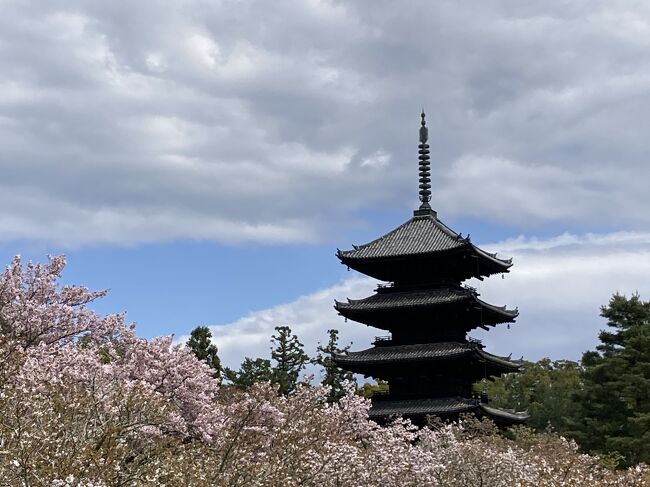 いつか京都を着物で歩きたいと思っていましたが、ついに実現！<br /><br />離れた場所に住む3組が京都で一緒にご飯を食べるという企画も実現して嬉しい限り。<br /><br />今回も非常に充実した旅になりました。<br />----------------------------------<br />４月の旅行記を非公開のままにしていたので、今更ながら公開。