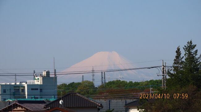4月10日、午前8時頃にふじみ野市から富士山が久しぶりに見られました。　富士山の頂上付近は真っ白でした。<br /><br /><br /><br /><br />*写真は久し振りに見られた富士山