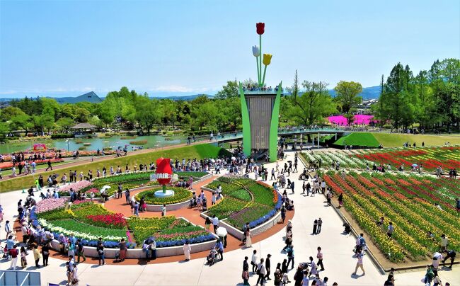 富山・砺波チューリップ公園で毎年4月下旬からゴールデンウィークいっぱいまで、チューリップフェアをやっているニャン。にゃんちゅけ、去年のゴールデンウィークに行って来た。チューリップのテーマパークみたいで、おもしろかったニャン♪<br /><br />となみチューリップフェア<br />【公式ホームページ】https://fair.tulipfair.or.jp/