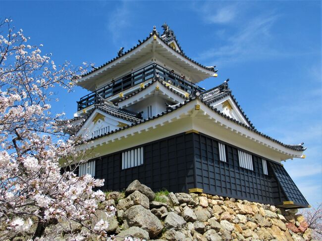 総集編③   &#127800;彩る東海道で家康ゆかりの地を巡る　２日目-2：浜松城・元城町東照宮