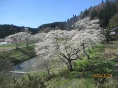 さくら全線 追いかけて・磐越東線：ゆうゆうあぶくまライン