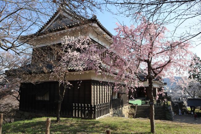 信州桜旅・・花に囲まれた真田氏の居城、上田城に千本桜を訪ねます。