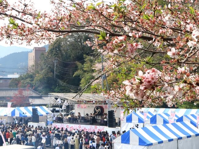 大分県の桜はどこも満開を迎えました。<br />そろそろ北海道に帰る娘とお花見ドライブに出かけました。<br /><br />写真はさいき桜まつりのお祭り広場