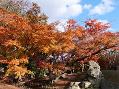 晩秋の「日本３名園」岡山後楽園と宇喜多、池田の城・岡山城