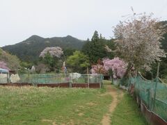 飯能市奥武蔵の天覚山・橋本山・ユガテを歩く