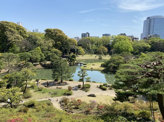 前日に引き続き天気が良かったので、この日は六義園に行ってきました。