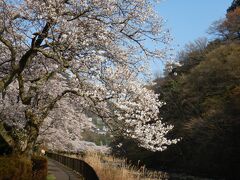 2023 春の箱根ドライブ