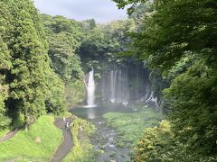 2022年夏旅15 白糸の滝 & 名古屋港水族館