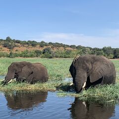 チョベ国立公園