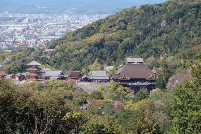伏見桃山城からのコース(F1)から歩き始め、中日に「都をどり」観覧し休憩、銀閣寺(52-1)までをハイキングしました。
