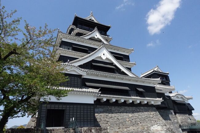 4月には2連休が取れて、初めての熊本へ。JALのマイルはできることなら国際線に使いたかったけど、いつになったら使えるか分からず、特典航空券で往復クラスJを取りました。天気に恵まれたので阿蘇や天草に行ってみたかったけど、時間的な制約で熊本城や水前寺公園に行く程度になりました。宿泊は熊本駅前のザブラッサム熊本にしましたが、JRを利用しなかったので、駅前ではなく熊本城かバスターミナル周辺のホテルでもよかったですね。<br />2日目は、ザブラッサム熊本で大浴場に行ってからブッフェの朝食を食べて、熊本城周遊バス「しろめぐりん」に乗って熊本城と熊本城ミュージアムわくわく座に行き、リムジンバスで熊本空港に移動して、ラウンジASOで休憩し、JALで羽田に戻ります。