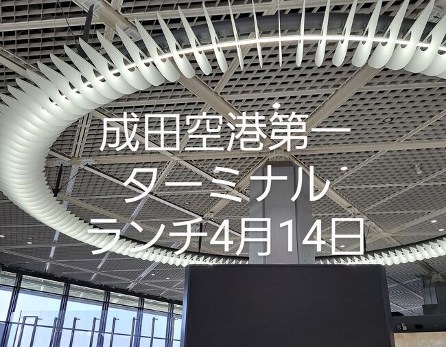 仕事で成田空港に赴いたことから,仕事終了後第一ターミナルで遅めのランチをして,久しぶりにターミナル内の雰囲気を感じてきました。