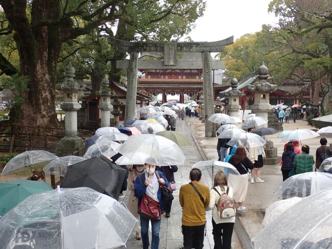 今日は一日雨です。<br />本来は明日対馬へ渡る予定でしたが九州に来てからの天候不順等で久しぶりに風邪をひきました。<br />熱こそ出ませんでしたが咳がひどく体もだるいです。<br />今日まではホテルでしたが明日からはキャンプの予定ですし、菜種梅雨で今日からしばらく雨予報ということで今夜のフェリーで帰京することにしました。<br />太宰府へ向かいます。<br />最初は宇美八幡宮へ行きました。<br />雨なのになぜか家族連れが多く参拝に来ていました。<br />大宰府政庁跡へ行きました。<br />広大な敷地に驚きです。<br />ここに大宰府が立っていたことを想像するだけで感動します。<br />観世音寺へ行きました。<br />九州中の寺院の中心となり、「府の大寺」と呼ばれた大きなお寺院でした。<br />戒壇院は「西戒壇」とも称され大和の東大寺、下野の薬師寺の戒壇院とともに天下三戒壇の一つとして知られています。<br />太宰府天満宮へ行きました。<br />もの凄い人出に圧倒されました。<br />雨にもかかわらず参拝する人の行列が長く続き、楼門前まで行きましたが帰りました。