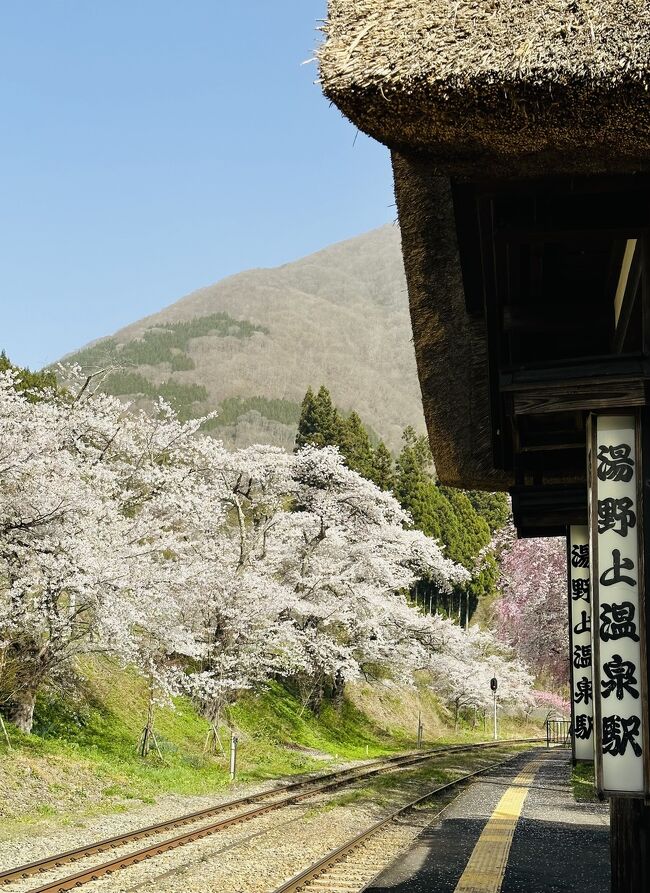 会津鉄道と大内宿のバスが乗れるお得な切符を使い、会津鉄道乗りテツの旅。湯野上温泉駅は満開の桜がお出迎え。大内宿の見晴台からの景色よかったです。
