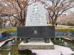 南東北の桜の名所を巡る