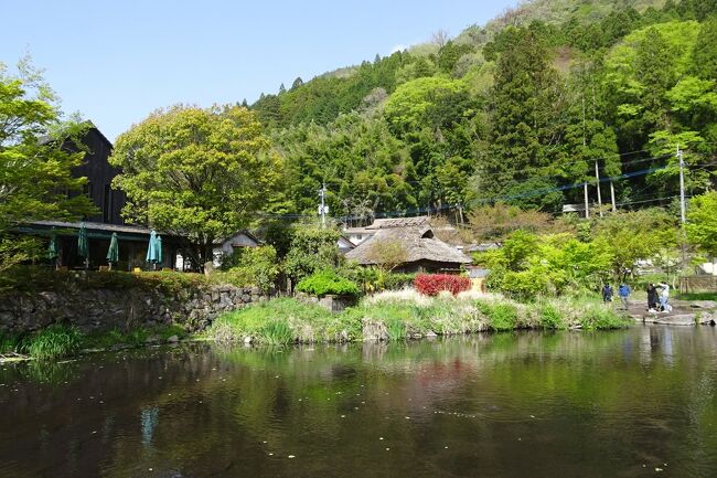 由布院・高千穂・黒川温泉の旅--由布院、そのⅠ--