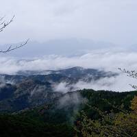 2023年4月吉野山、三輪山へ　①雨の吉野山