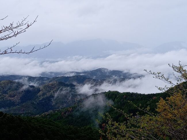 2015年からほぼ毎年吉野の桜を見に行ってますが、昨年は行かず、今年は2年ぶりに行きました。<br />吉野山公式サイトで当初は4月8日頃が見頃予測でしたが、今年は1週間以上早まり、3月末が見頃だったようで、4月7日には奥千本入口がもう散っていたのは初めてで驚きました。<br />コロナ禍の外出制限も開けたため相当な人出が予測されましたが、当日は雨で人出が抑えられたのは返ってよかったです。<br />1日目は吉野山に行き、2日目はパワースポット三輪山に登拝する予定でしたが、三輪山登拝はコロナで中止が継続中でした。