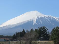 盛岡満喫の旅～東北にも春が来たよ①～