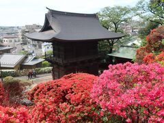 近所のツツジ寺を見に行ったら満開だった。