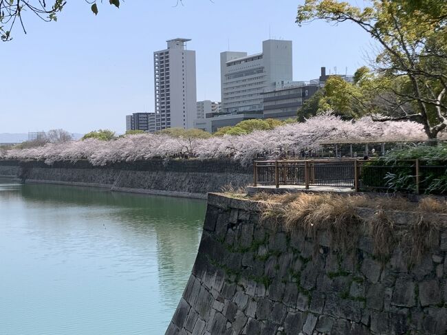 とても久々に大阪城へ行きました。お城と桜はなんとも美しかったのですが、人出も多く、天守閣も大行列でしたので、あきらめました。大阪城の歴史についても、つくづく、波乱万丈のお城だったと感じます。お城はもともと戦いの場所にもなるのが当たり前とはいえ、大阪夏の陣で豊臣氏が滅び、また近年では第二次世界大戦の際に大阪城が利用され、また被害をうけていたこと、戦前は軍の施設として、戦後もGHQに接収され、大阪城の歴史が深いです。天守閣は次回にリベンジです。またその近くに細川ガラシャ最期の地といわれる、越中井があります。細川家の屋敷跡に井戸だけが残っていたそうで、それを再現した場所です。さらに近くに大村益次郎の殉難の碑や寓居跡があります。<br />大村益次郎は京都で命を狙われ、負傷し、治療しますが、その甲斐もなく、今の国立大阪病院あたりにあった病院で亡くなります。<br />短く数奇な濃厚な人生だったとおもいます。<br />