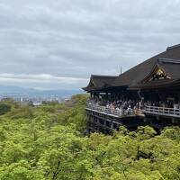 2023年4月　初の京セラドーム大阪と清水寺　2日目