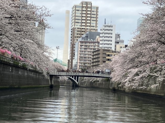 まだまだコロナが落ち着かないけれど、旅行支援クーポンを使って中学生の息子を連れて国内旅行。<br />久々の東京ディズニーは昔と色々変わっていて、有料ファストパスってやつになってました。<br />ついでに東京観光も。<br />浅草で謎解きしたり、目黒川の桜をクルーズ船から観賞したり、東京ジョイポリスでVRのゲームをしてみたり・・・<br />とにかく人が多い、どこ行っても並んでばっかりの旅でした。