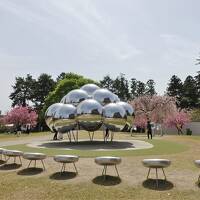 初めての金沢旅行（１日目：その①）：「21世紀美術館と満開の桜」から始まる金沢名所巡り