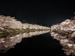 【2023弘前さくらまつり】弘前城の桜を何が何でも見に行く強行旅