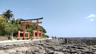 【2023.4 宮崎】~日南海岸/青島~【47都道府県一人旅 #46 宮崎編】