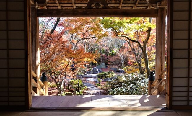 嵯峨野　宝筐院の見事な紅葉　京都遅めの紅葉で混雑回避３　