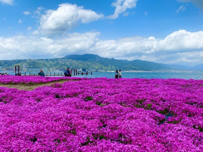 「DRUGユタカ 健康と美ウォーキング」に参加し、琵琶湖沿いを10kmウォーキング♪ お天気に恵まれて、サンプルたくさんもらえてワクワク☆