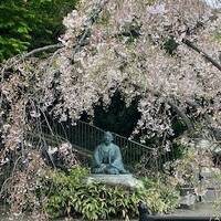 有馬温泉から六甲山へ