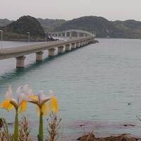 2泊3日の福岡。1日目は福岡空港から山口へバスツアー、2日目は大橋警固赤坂中洲、3日目は百道浜天神