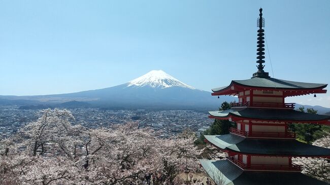 “桜と富士山と朱い五重の塔が一枚の写真に収まる風景”を求めて、ずっと行ってみたかった春の新倉山浅間公園へ。<br />ザ・日本！の夢の三点セット♪<br /><br />でも行ったらここはどこの国？？<br />９割外国人でした(^^;<br /><br />山梨県と言えば「ほったらかし温泉で日の出を見る」も前からやりたかったリストに入っていたので、それも合わせて。<br />久しぶりに夜立ち旅です(*^^*)<br /><br /><br />偶然通りかかった桜まつり「大法師公園」<br />双葉SA ポケットパーク (仮眠)<br />ほったらかし温泉(日の出)<br />笛吹市桃源郷春まつり<br />新倉山浅間公園　桜まつり<br />ドラマ『絶メシロード』にでてきた「たかちゃんうどん」<br />河口湖「富士大石ハナテラス」<br /><br />