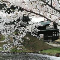 秋田、岩手、現地で急きょ青森2泊3日桜の旅(NO.3)